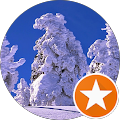 Google Profilbild von e-motion Kunde Max