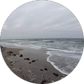 Google Profilbild von e-motion Kunde Sarah Bell